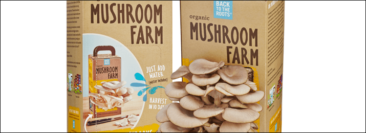 Who wouldn’t love a fun mushroom growing kit?